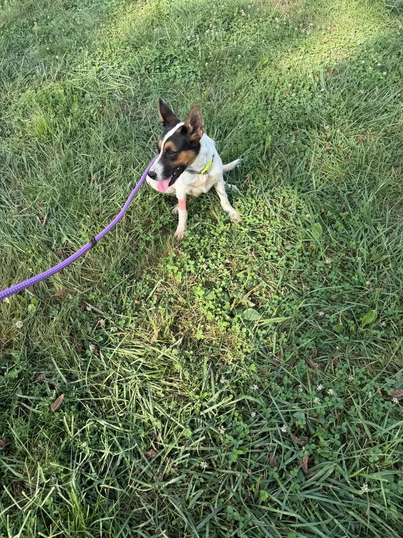 Lulu thumbnail 3