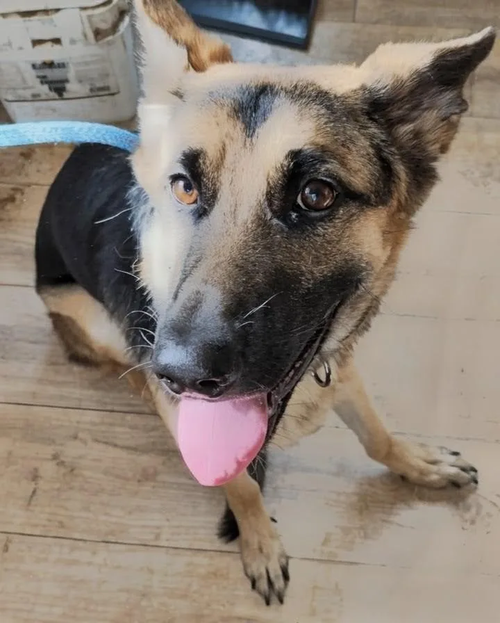 Kaia