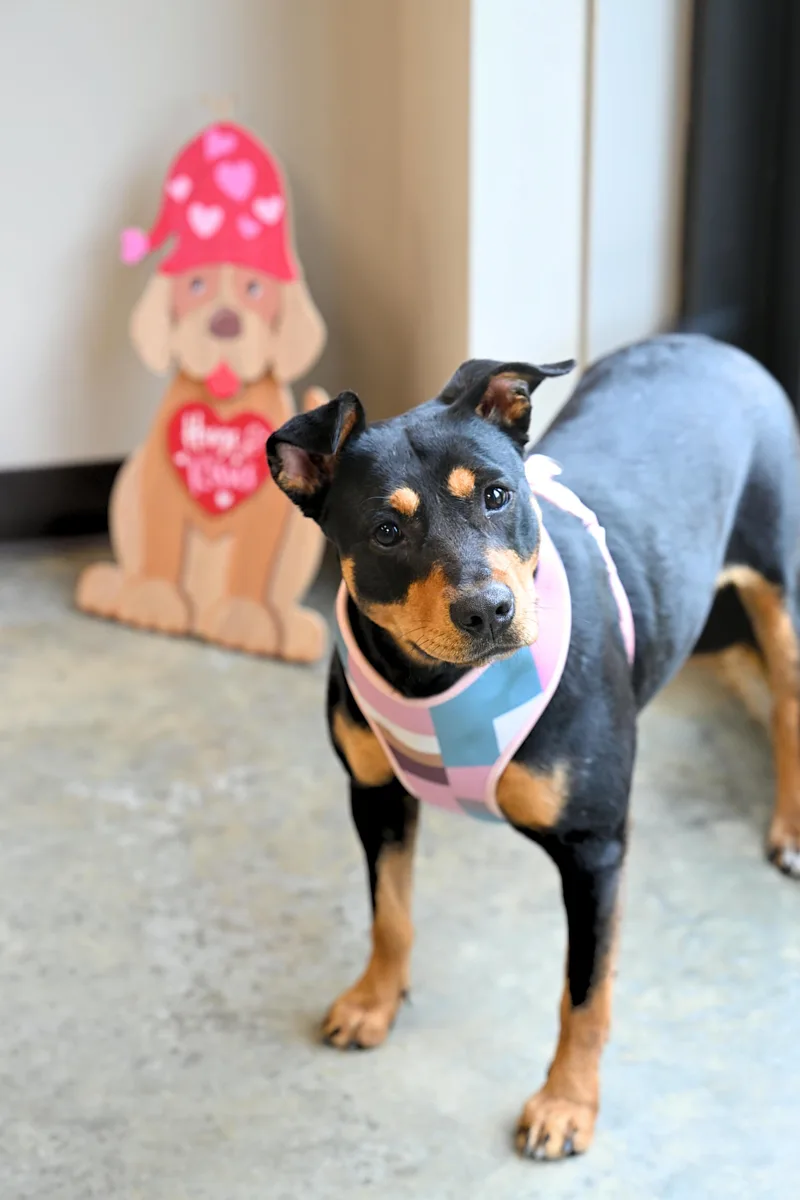 Minnie Pearl thumbnail 2