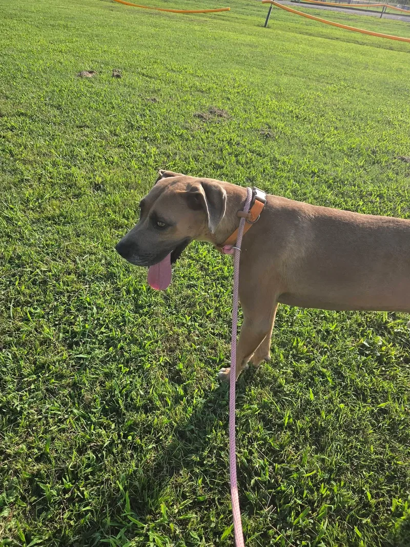 Axel