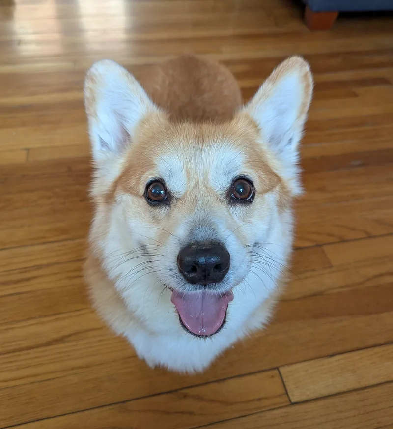 Buddy thumbnail 3