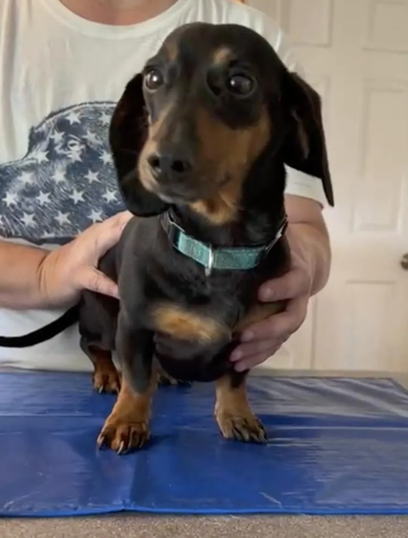 Franklin