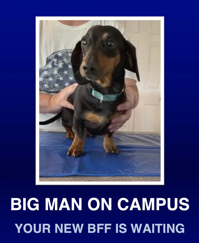 Franklin thumbnail 2