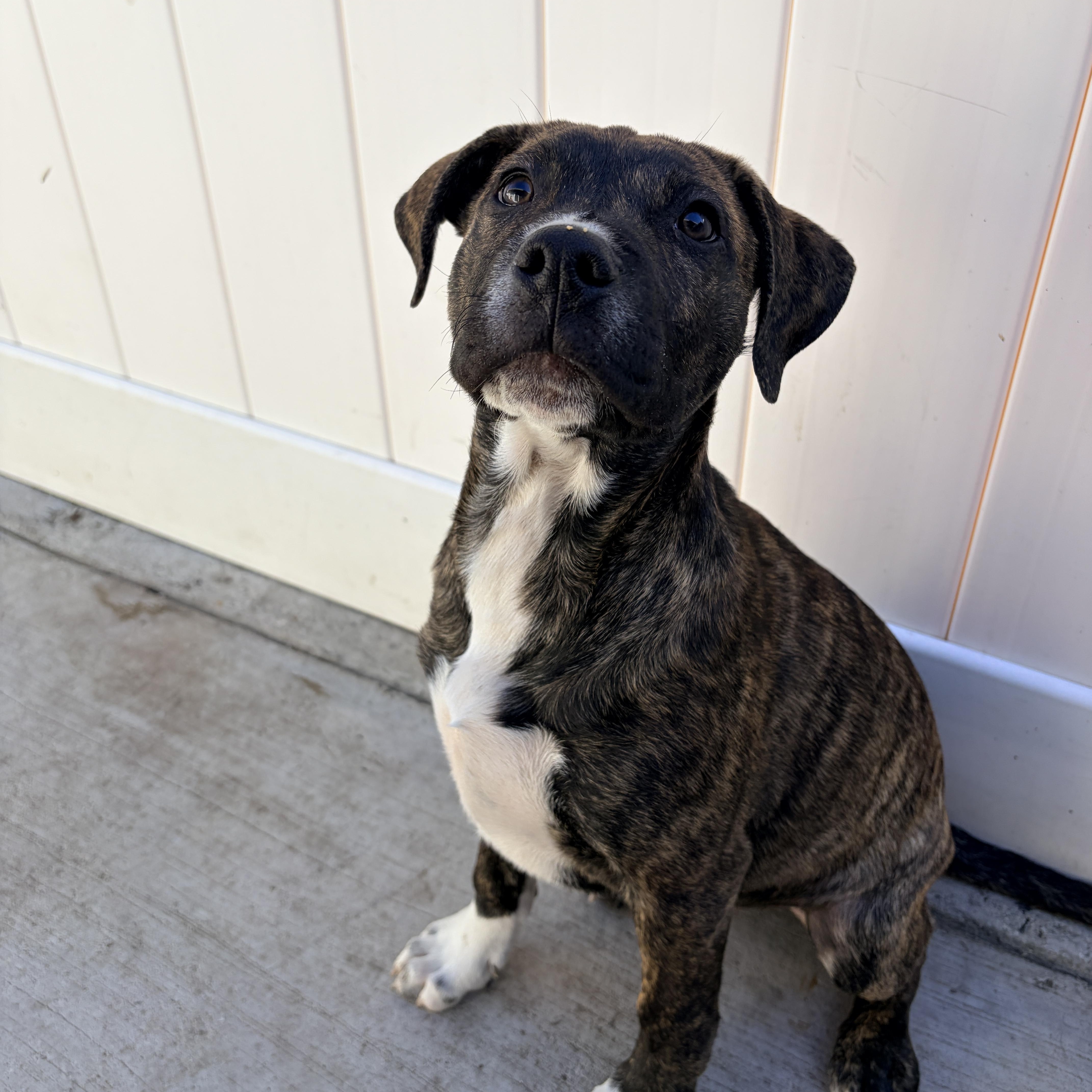 Edison~sensitive And Independent