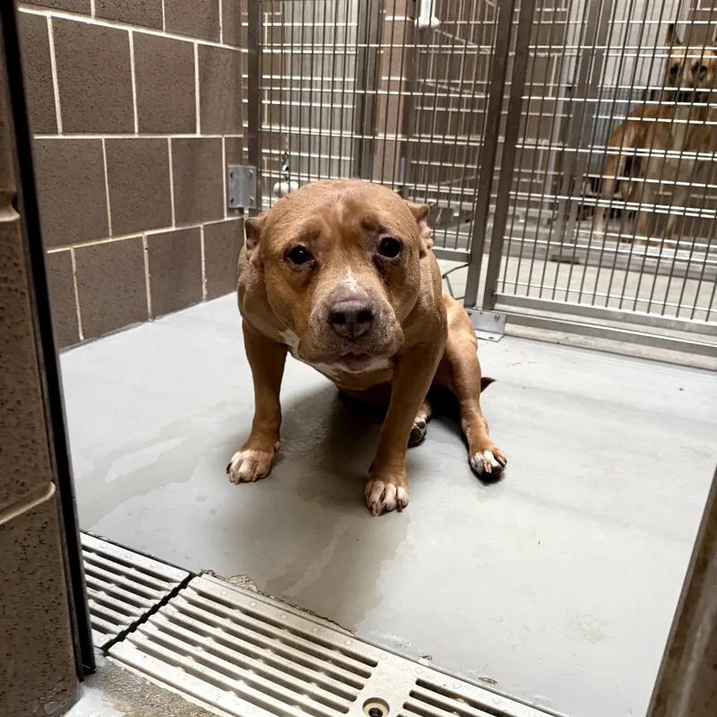 Sky Bonded To Elsa thumbnail 2