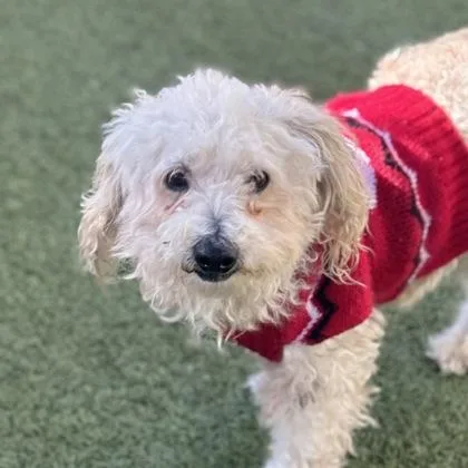 Benny