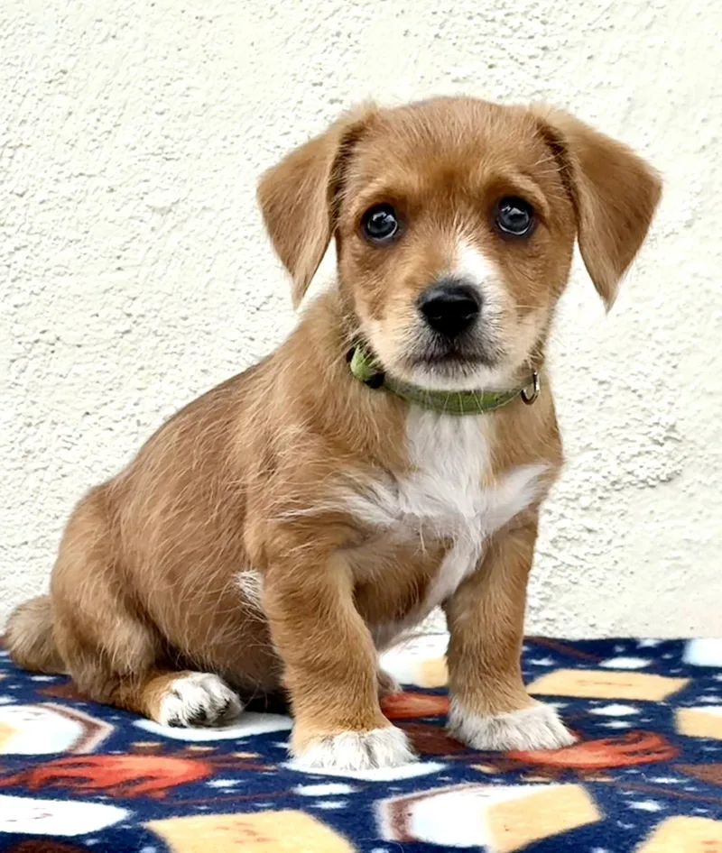 Schoolyard: Tetherball thumbnail 2