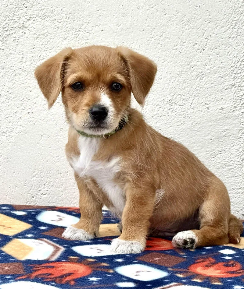 Schoolyard: Tetherball thumbnail 3