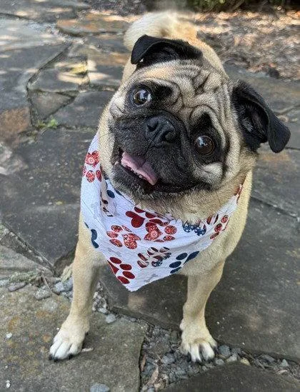 Franklin