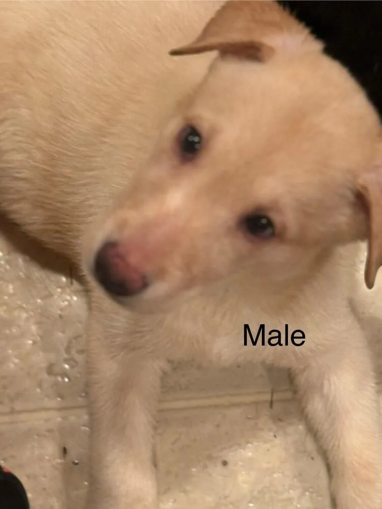 Zero