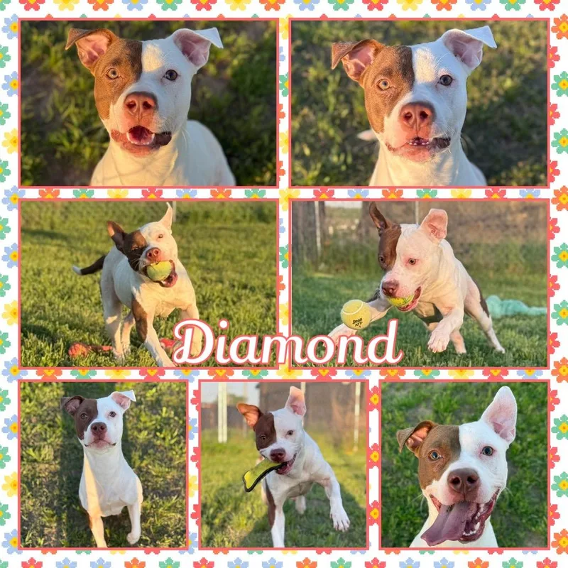 Diamond thumbnail 2