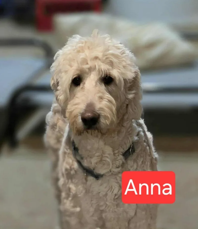 Anna thumbnail 2