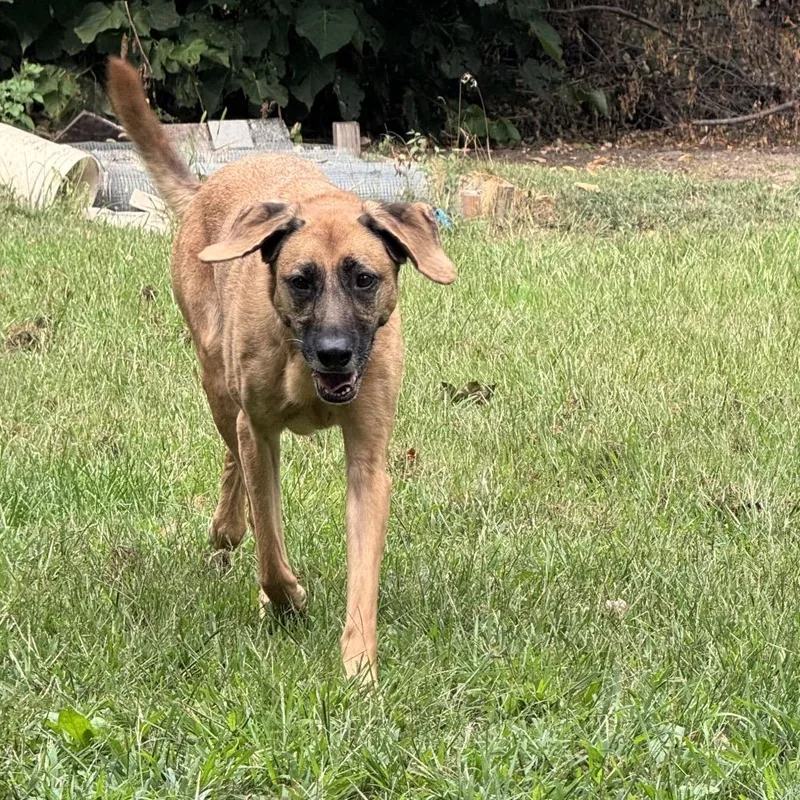 Sadie D thumbnail 2