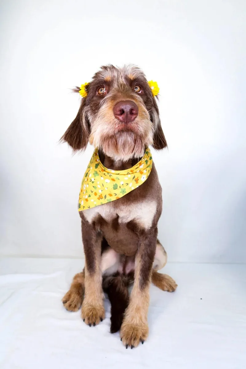 Janet Jackson thumbnail 5