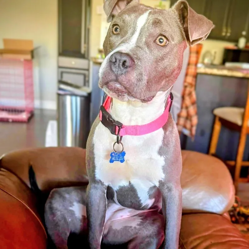 Marina Baby thumbnail 2