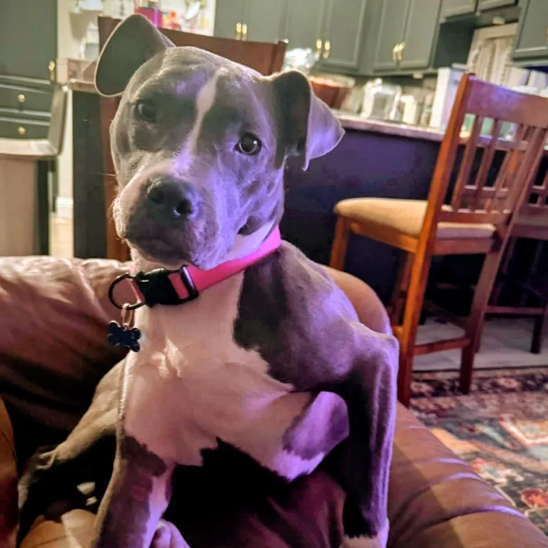 Marina Baby thumbnail 3