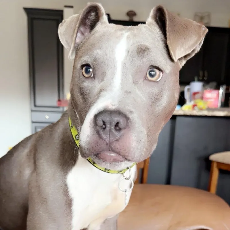 Marina Baby thumbnail 4