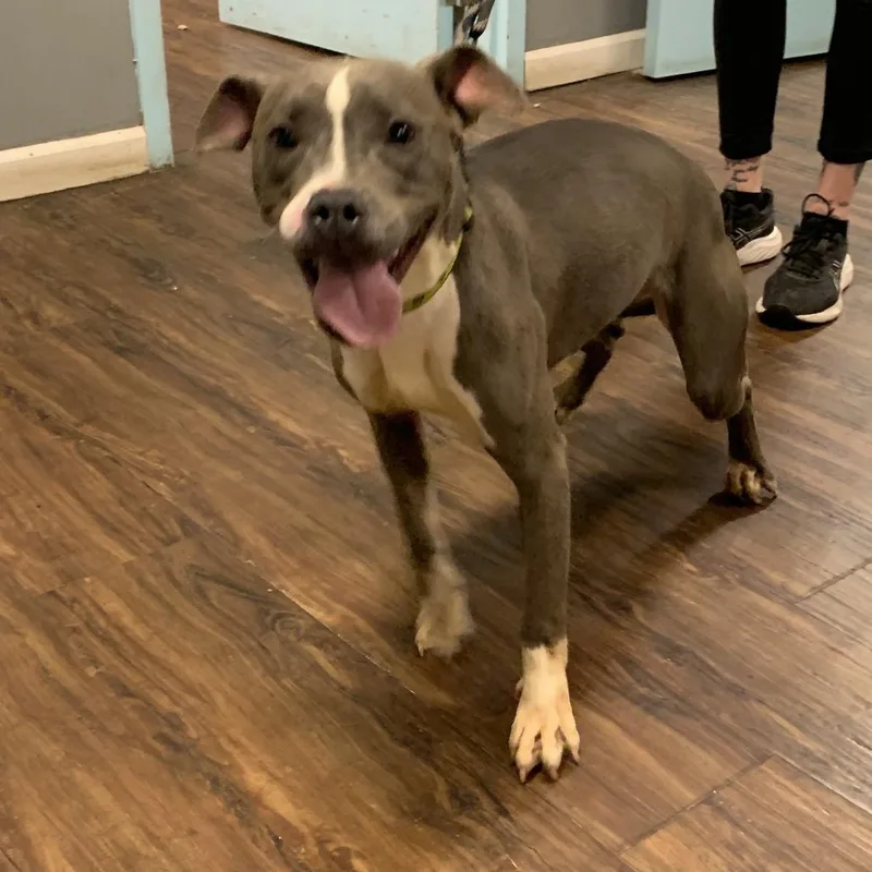 Marina Baby thumbnail 5