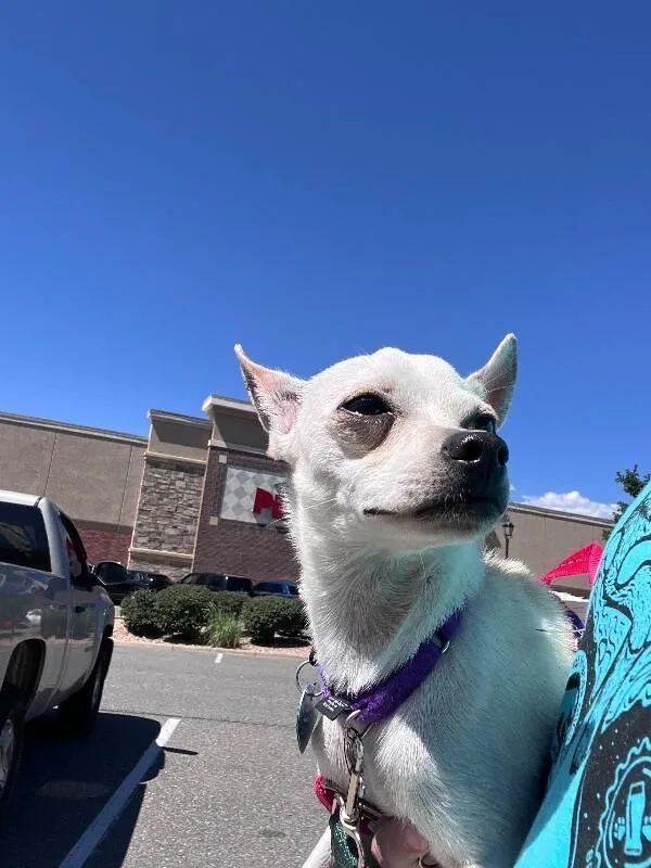 Tucumcari