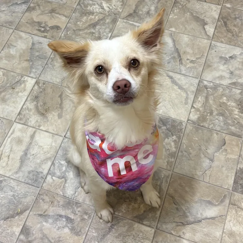 Esmeralda thumbnail 2