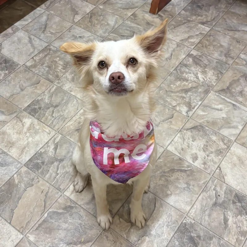 Esmeralda thumbnail 3