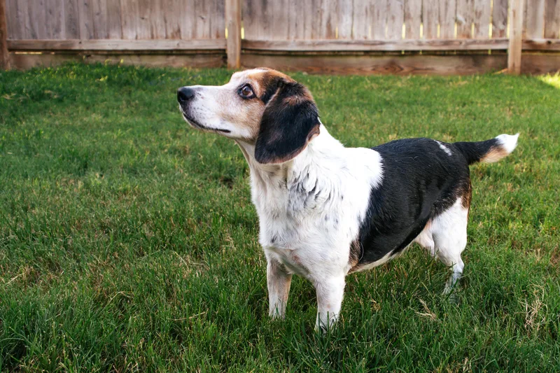 Marvin  NY thumbnail 5