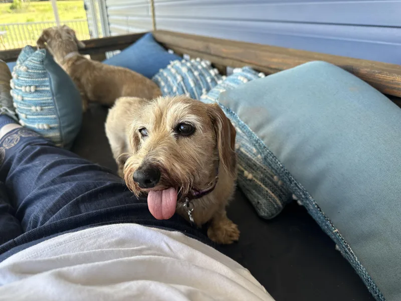 Mimi