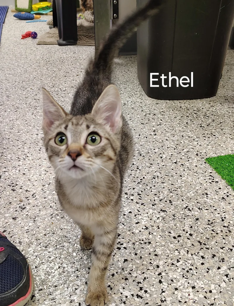 Ethel