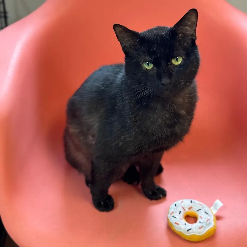 Al Gresham thumbnail 5