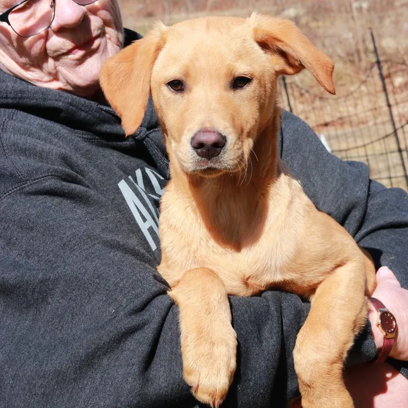 Ct Printer thumbnail 2