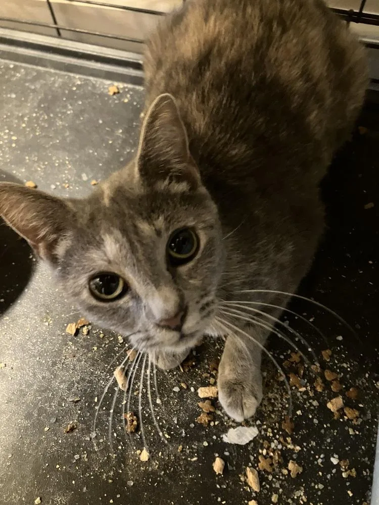 Peggy Lh thumbnail 2