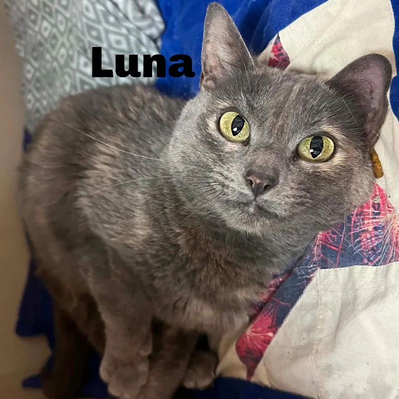 Luna