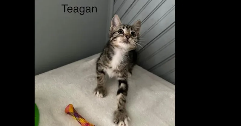 Teagan thumbnail 2
