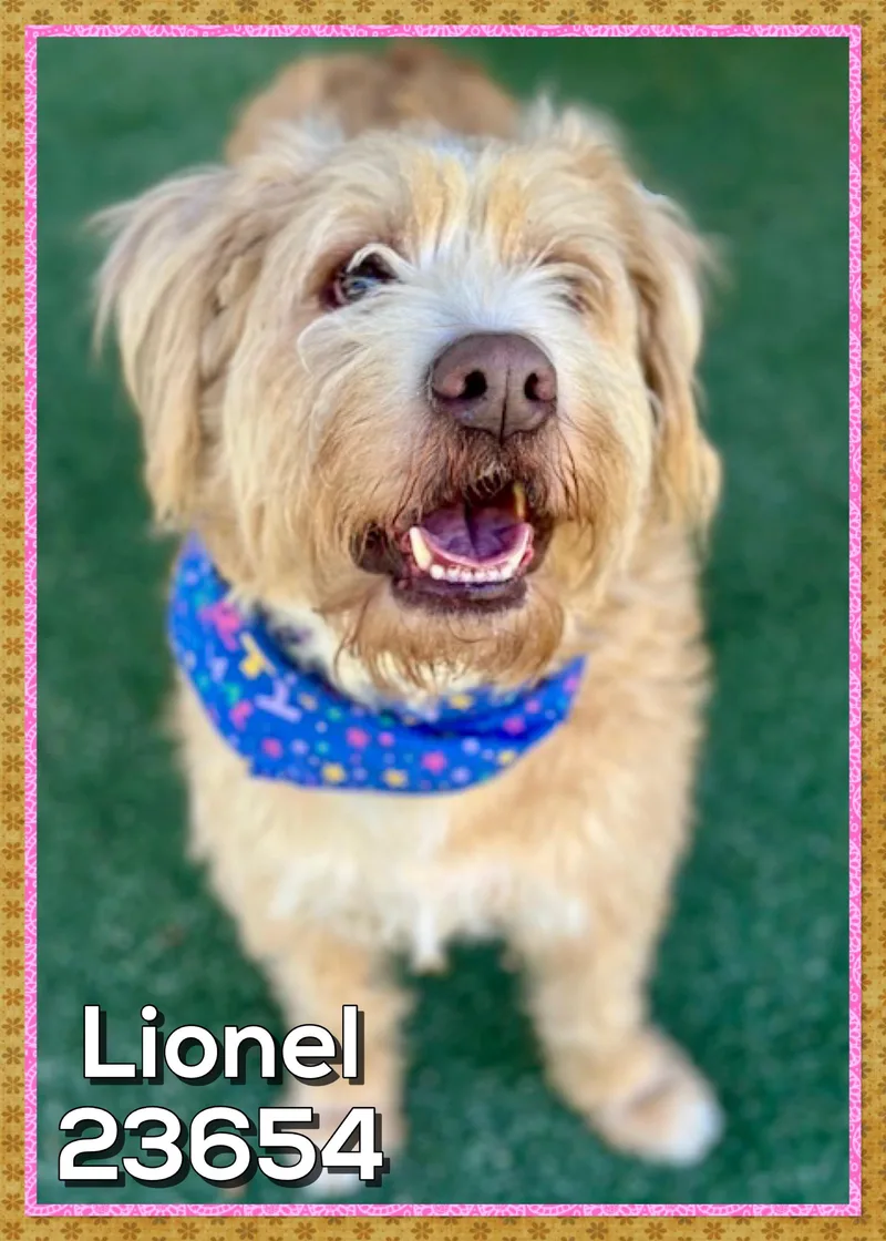 Lionel thumbnail 3