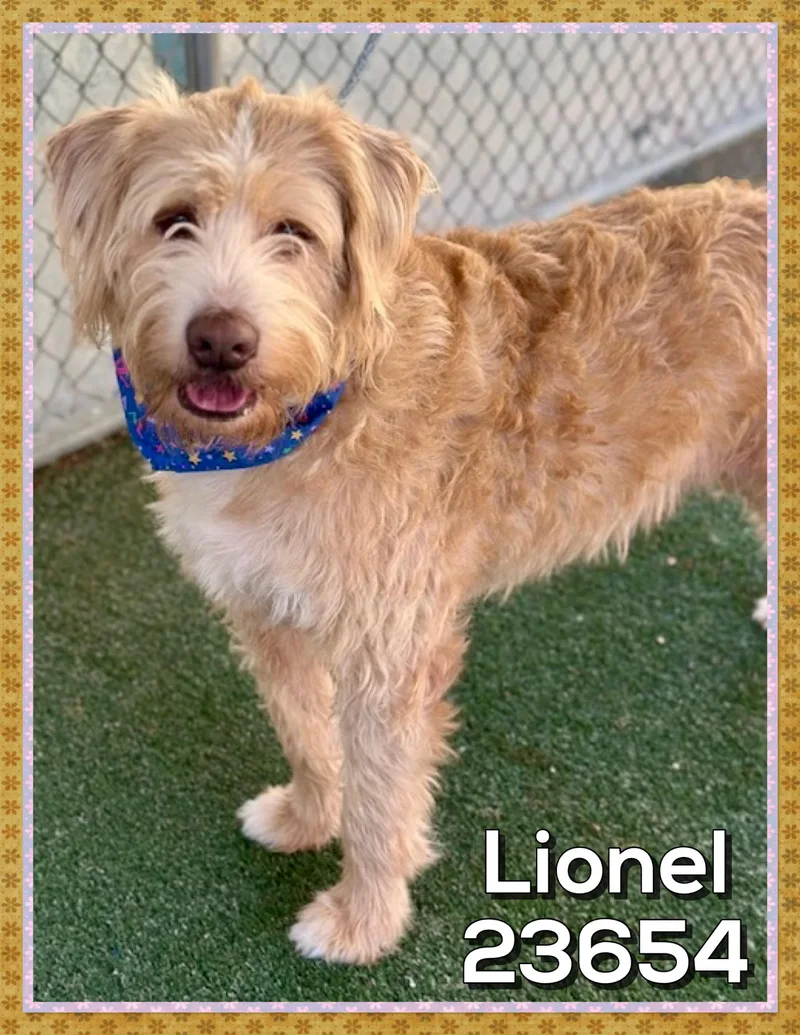 Lionel thumbnail 4