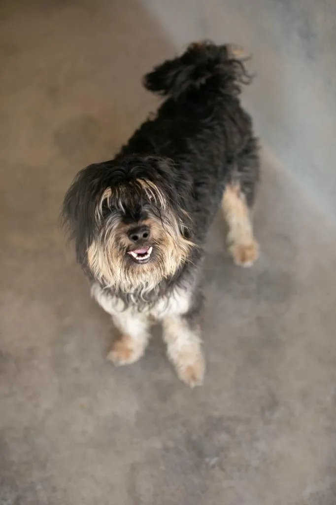 Slightly thumbnail 2