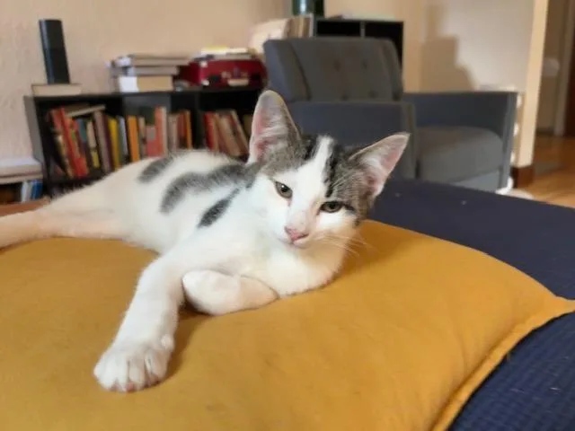 Bernie thumbnail 5