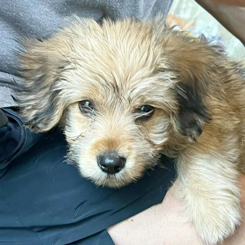 Spike