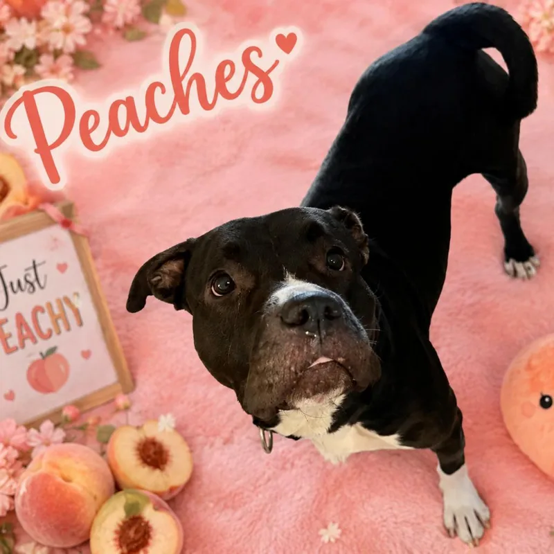 Peaches