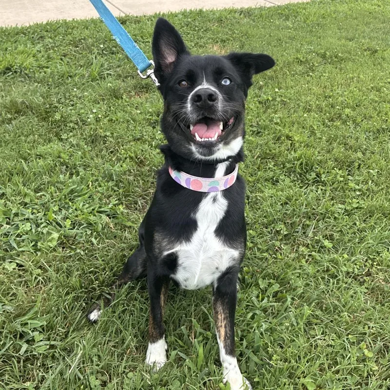 Ella