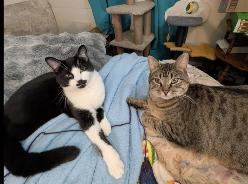 Annie And Ashoka
