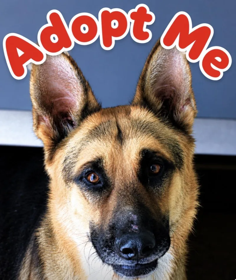 Eddie thumbnail 5