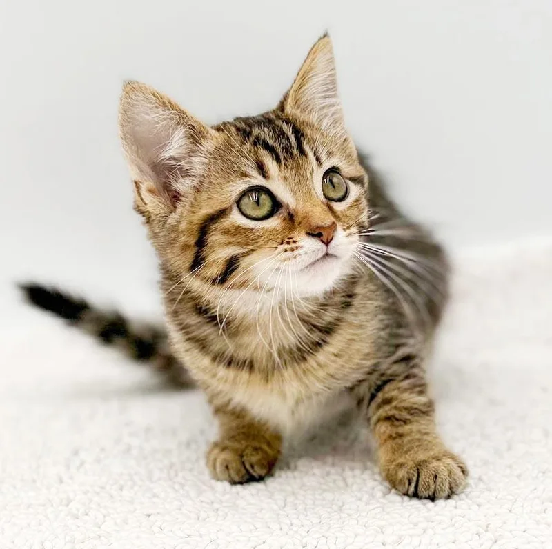 Lucy is a baby thumbnail 2