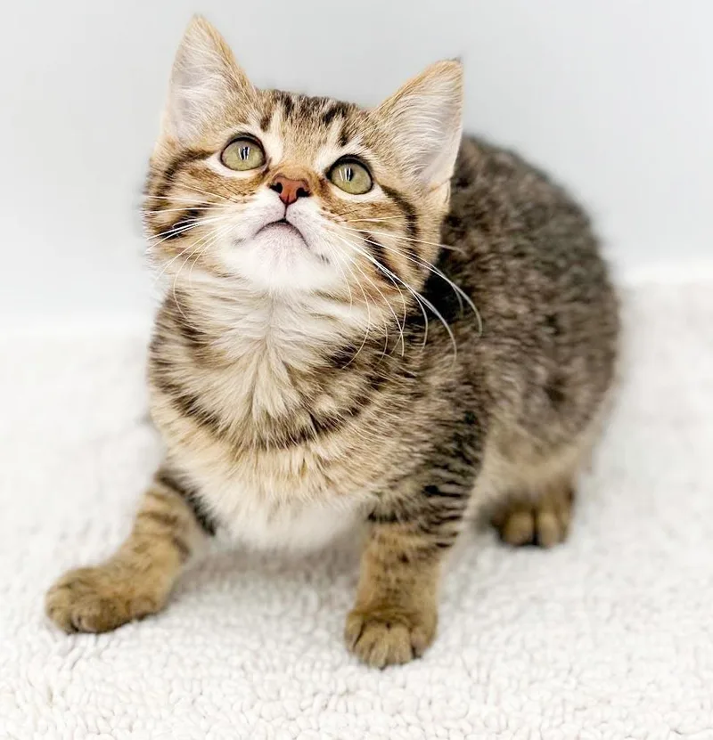 Lucy is a baby thumbnail 3