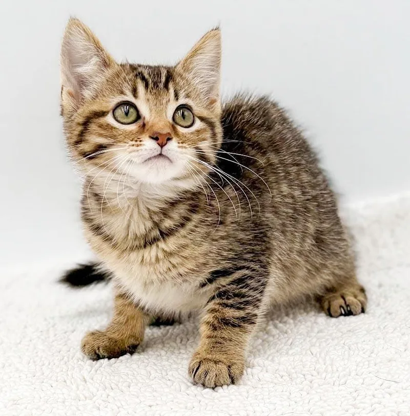 Lucy is a baby thumbnail 4