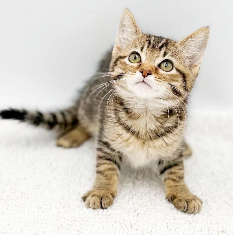 Lucy is a baby thumbnail 5