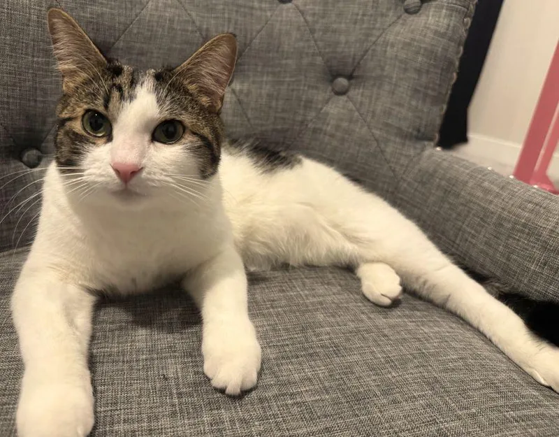 Brook And Logan thumbnail 2