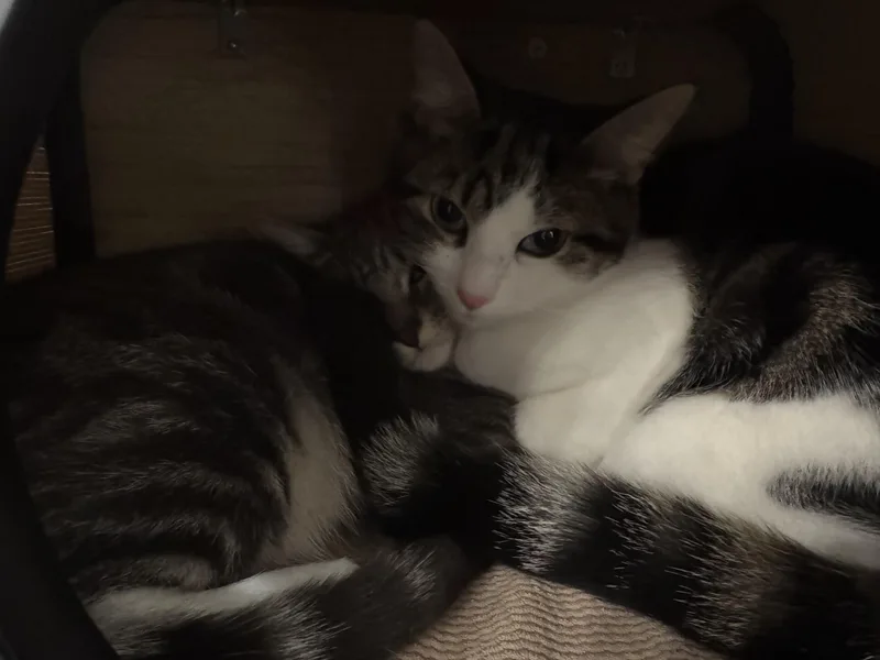 Brook And Logan thumbnail 3