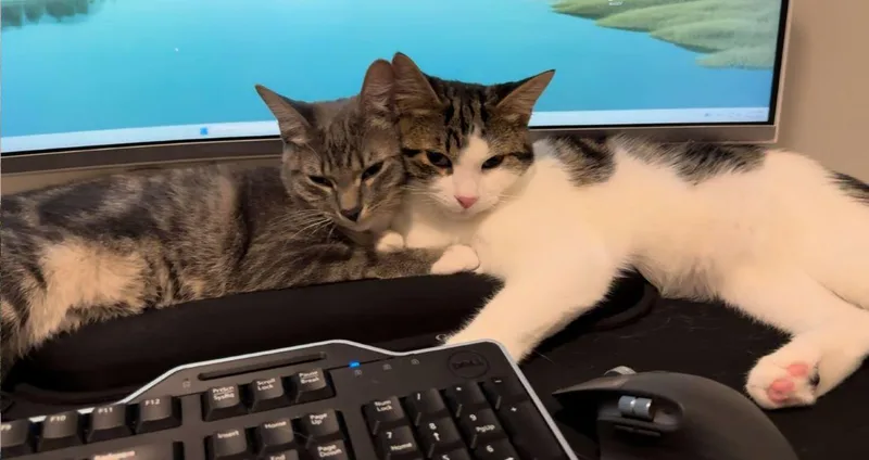 Brook And Logan thumbnail 4