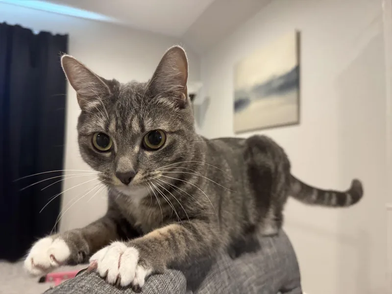 Brook And Logan thumbnail 5